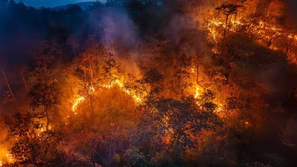  صورة تعبيرية 