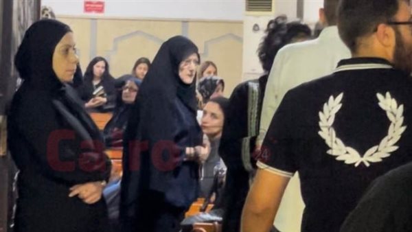 شمس البارودي