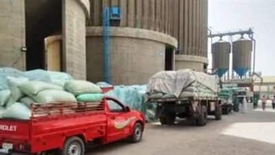 محافظ أسوان يتابع توريد 551 ألفا و175 طنا بنسبة 112.7% بالصوامع والشون والبناكر