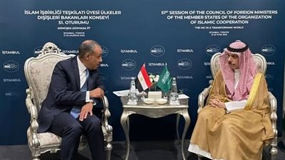 على هامش اجتماعات منظمة التعاون الإسلامي.. وزيرا خارجية مصر والسعودية يبحثان تعزيز التعاون الاقتصادي