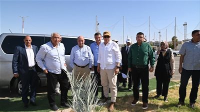 لزيادة الصادرات.. وزراء الري والزراعة والمحافظ يتفقدون أكبر مزرعة للتمور بالعالم في الوادي الجديد