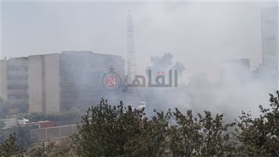 اندلاع حريق بأرض فضاء قرب مطاحن مصر الوسطى ومديرية الصحة ببني سويف