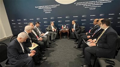 بحثا أهمية التوصل لاتفاق مستدام حول البرنامج النووي.. وزير الخارجية يلتقي نظيره الإيراني في إسطنبول