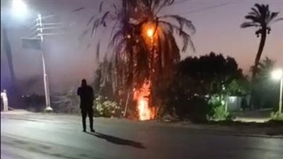 اندلاع حريق في نخيل طريق أرمنت – الأقصر السريع.. والحماية المدنية تتدخل