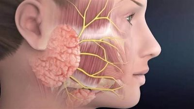 مستشفى صدر المنيا يُنقذ شابًا من إصابة خطيرة في الوجه بجراحة نادرة