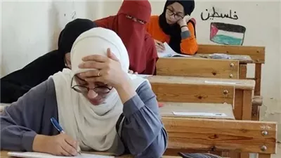 نشرة أخبار الحوادث| سيدة تنهي حياة صغارها الثلاثة في الشروق.. وطالبة تقطع وريدها وتتناول 12 قرصا مجهولا بالمنيا