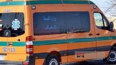 مصرع شابين غرقا في الوادي الجديد 