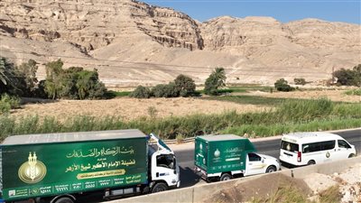 بيت الزكاة ينهي توزيع لحوم الأضاحي على عشرات الآلاف من الأسر المستحقة في الصعيد 