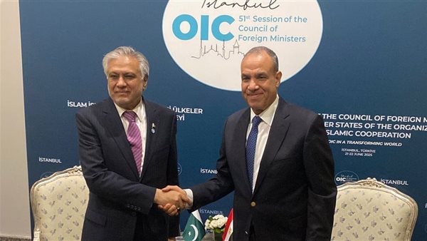 وزيرا خارجية مصر