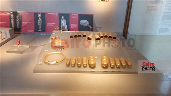 كنوز تانيس تلمع في