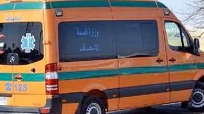 مصرع شخص دهسته سيارة نقل بالوادي الجديد