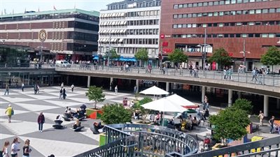 تبغ السنوس.. كلمة السر في تحول السويد إلى دولة خالية من التدخين