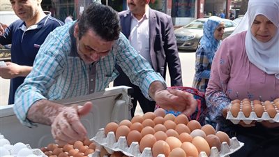 وزير الزراعة: حدث نزول درامي لأسعار البيض.. وفي أي مكان بـ 135 جنيها بما فيها الساحل 