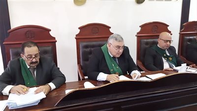 بدء أول جلسات محاكمة توربيني البحيرة لاتهامه بالسرقة والتعدي على 3 صغار | صور