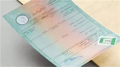 طريقة استخراج شهادة الميلاد أونلاين 2025 من بوابة مصر الرقمية بخطوات سهلة