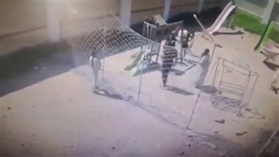 الأمن يفحص واقعة تعدي زوج على طليقته في الغربية خلال تنفيذ حكم رؤية ابنته