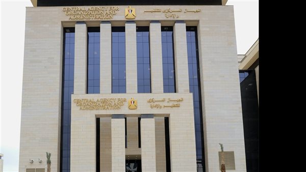 التنظيم والإدارة