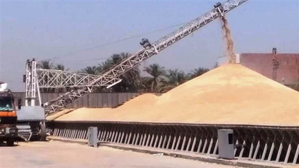 توريد القمح - أرشيفية