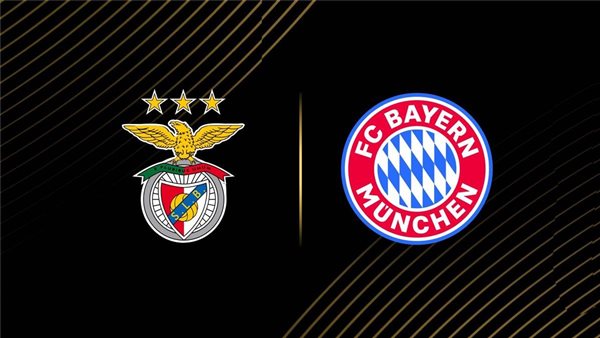 القنوات الناقلة لـ