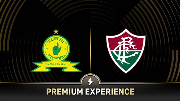  صن داونز وفلومينينسي