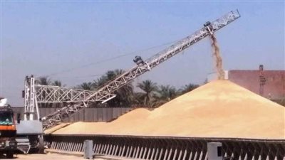 مديرية التموين بأسوان تستكمل جهودها لتخطى المستهدف من استلام كميات القمح 