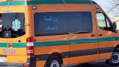 مصرع شاب صعقًا بالكهرباء في أرض زراعية بالوادي الجديد