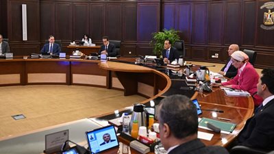 رئيس الوزراء: استئناف ضخ الغاز لعدد من المصانع المتوقفة خلال الأيام الماضية الجمعة المقبل