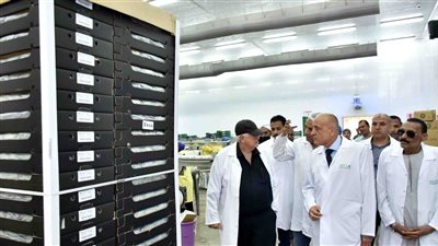 محافظ الأقصر يشيد بمركز هيا لتدريب المزارعين: خطوة رائدة نحو تصدير الحاصلات البستانية وتشغيل الشباب