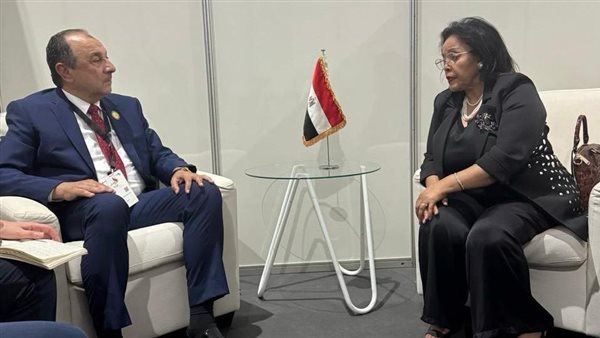 وزير قطاع الأعمال