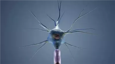 العصب المبهم.. مفتاح السيطرة على القلق وتحسين الذاكرة