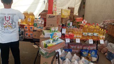 محافظ الدقهلية: استمرار إقامة أسواق اليوم الواحد يومي الجمعة والسبت أسبوعيًا