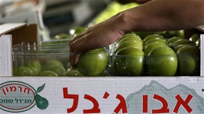 صحيفة عبرية: مقاطعة المنتجات الزراعية الإسرائيلية تتزايد في أوروبا