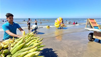 بورسعيد في 24 ساعة| الشواطئ كاملة العدد.. وإنهاء قوائم انتظار الغسيل الكلوي 