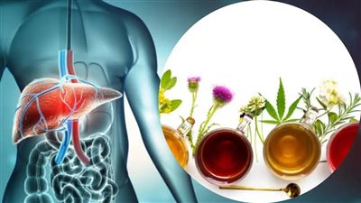 4 أنواع من شاي الأعشاب تساعد في تحسين صحة الكبد