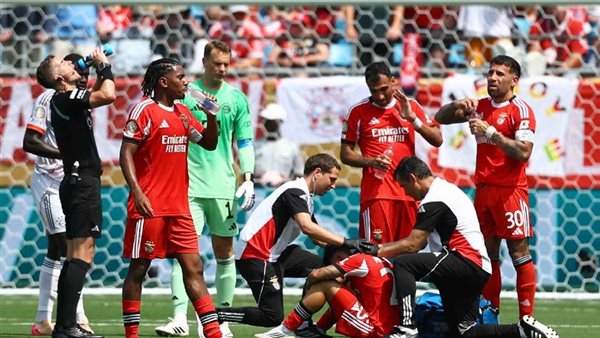 مباراة بنفيكا وبايرن