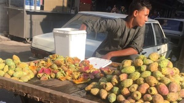 التين - أرشيفية 