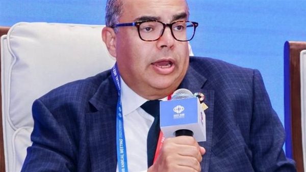 الدكتور محمود محيي