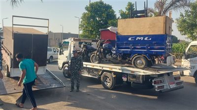 محافظ القليوبية يتابع حملة مكبرة لإزالة الإشغالات أسفل الطريق الإقليمي بمنطقة كفر سعد ببنها