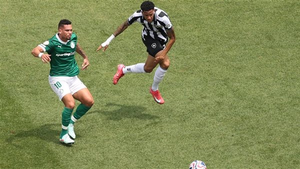 مباراة بالميراس وبوتافوجو