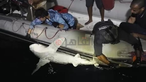 تركيب أجهزة تتبع