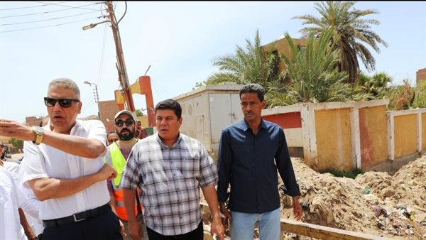 محافظ أسوان