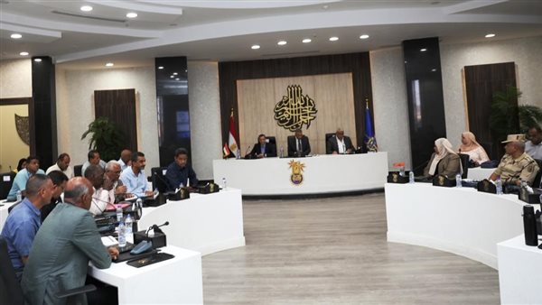 محافظ أسوان