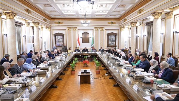 مجلس جامعة القاهرة