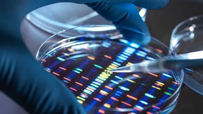 هل الحمض النووي الصناعي يجعل الإنسان آمنًا من الأمراض؟.. علماء بريطانيون يثيرون الجدل