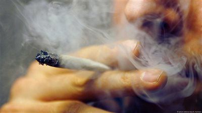 والدي يصرف على الحشيش ولا يصرف على البيت.. كيف أتعامل معه؟ أمين الفتوى يجيب