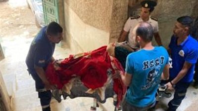 لافتة إنسانية.. أمن القاهرة يستجيب لاستغاثة شخص بنقل زوجته غير القادرة على الحركة للمستشفى 