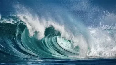 الزراعة عن توقعات قبطان بحدوث تسونامي وزلزال بالبحر المتوسط: غير صحيح