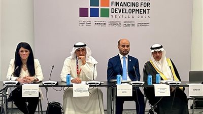 المشاط: أكثر من 15.6 مليار دولار تمويلات للقطاع الخاص منذ 2020 بمختلف مجالات التنمية