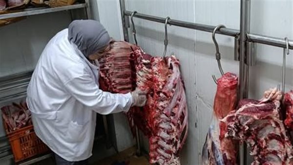 ضبط 122 طنًا من اللحوم