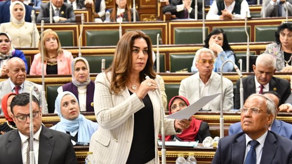 وزيرة التنمية المحلية